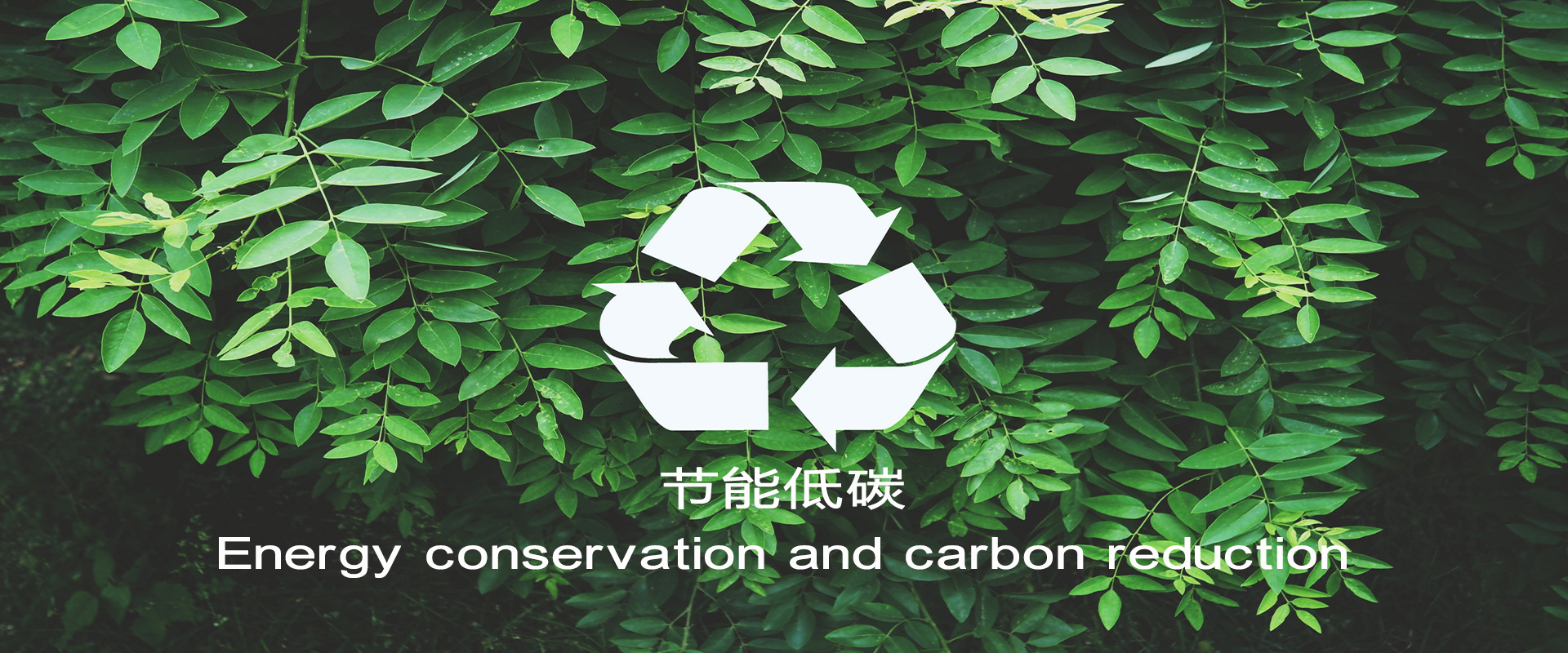 万利国际(中国集团)官方网站